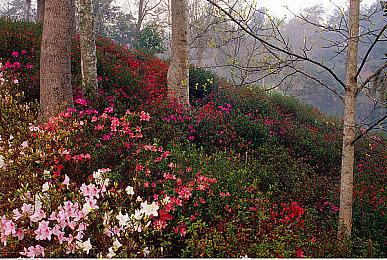 《命运2：终焉之形》“救赎的边缘”突袭明天上线